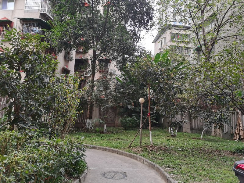 花园小区(涪城),临园路西段5号-绵阳花园小区(涪城)房