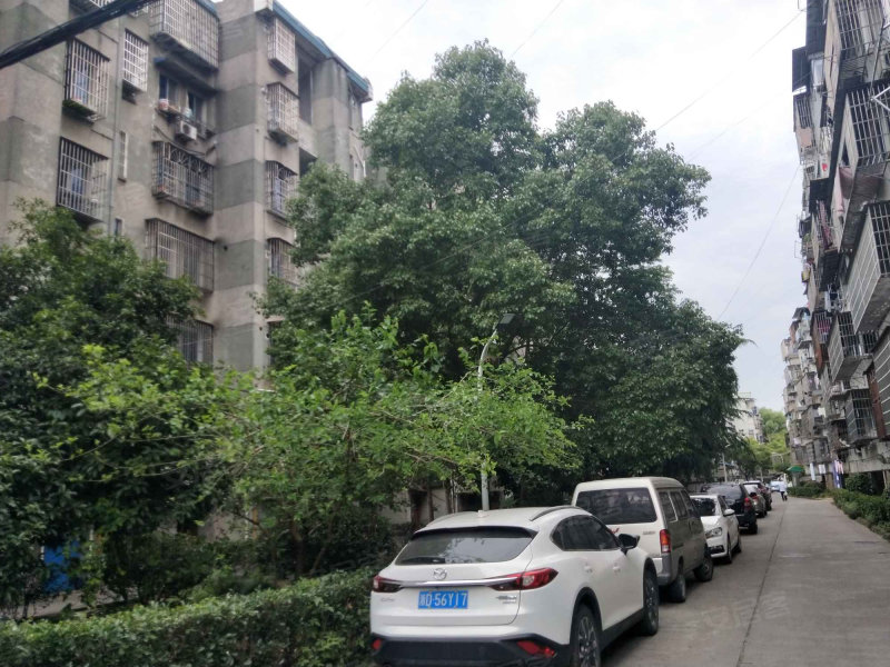 任家塔小区,凤江路-绍兴任家塔小区二手房,租房,房价