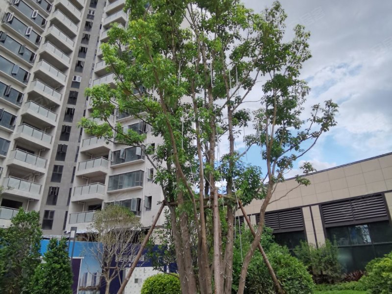碧桂园松湖明珠