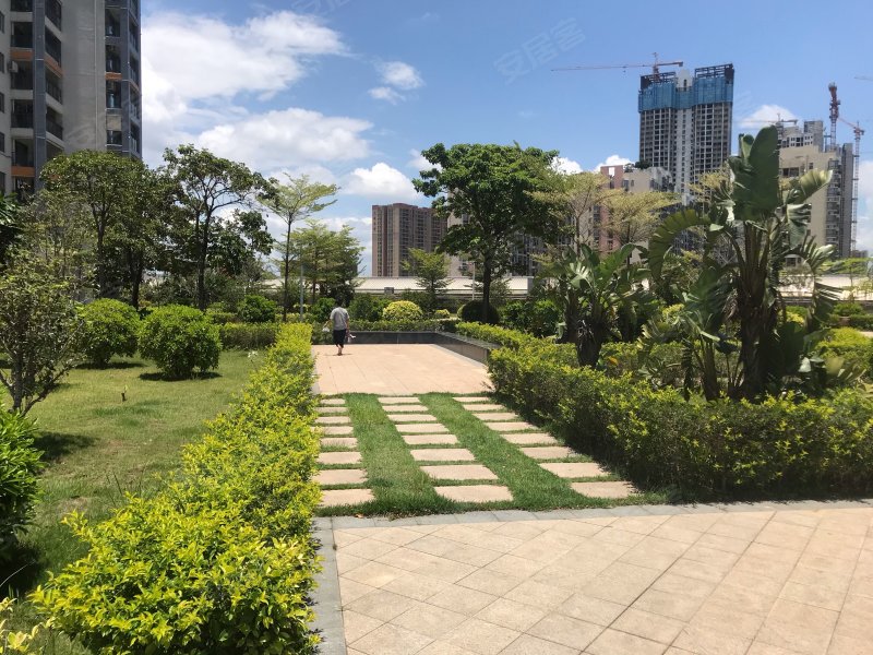 马安山花园,鞍山二路40号-深圳马安山花园二手房,租房