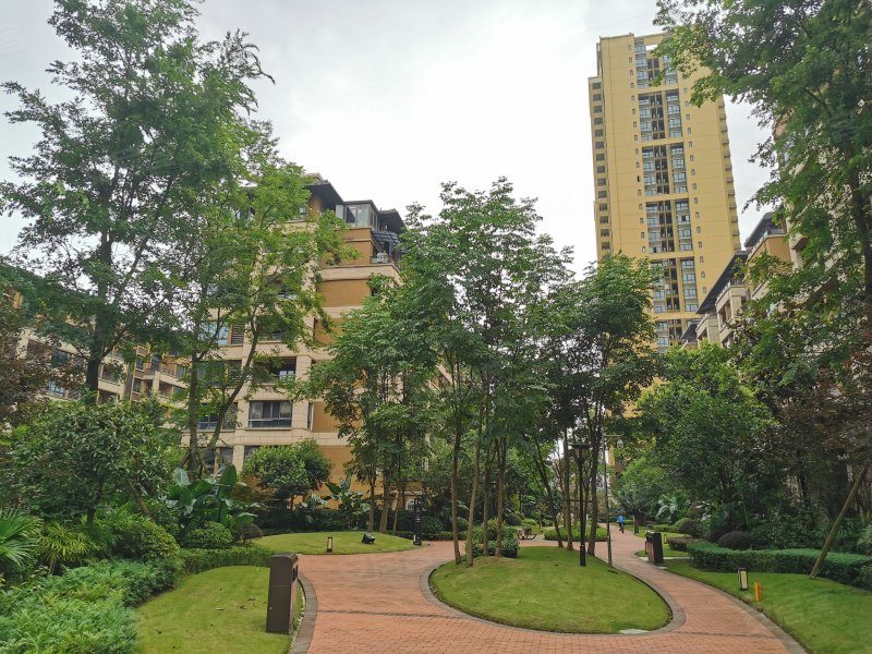 北新御龙湾三街区,嘉合大道555号-重庆北新御龙湾三房