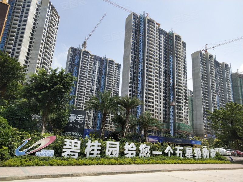 碧桂园保利天启