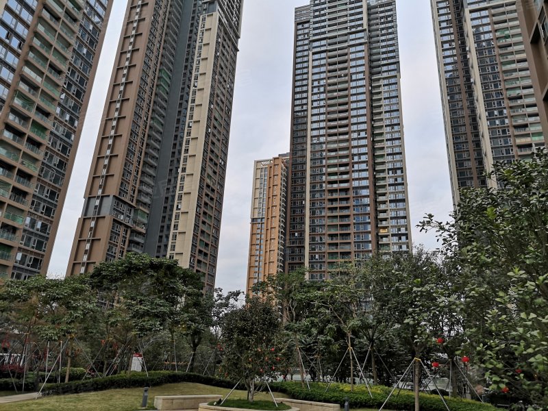 前城滨海花园,宝安大道-深圳前城滨海花园二手房,租房