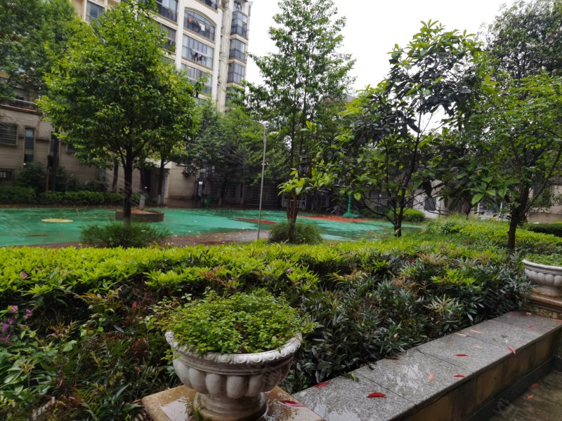 缇香名苑,海棠路209号-益阳缇香名苑二手房,租房,房价-益阳安居客