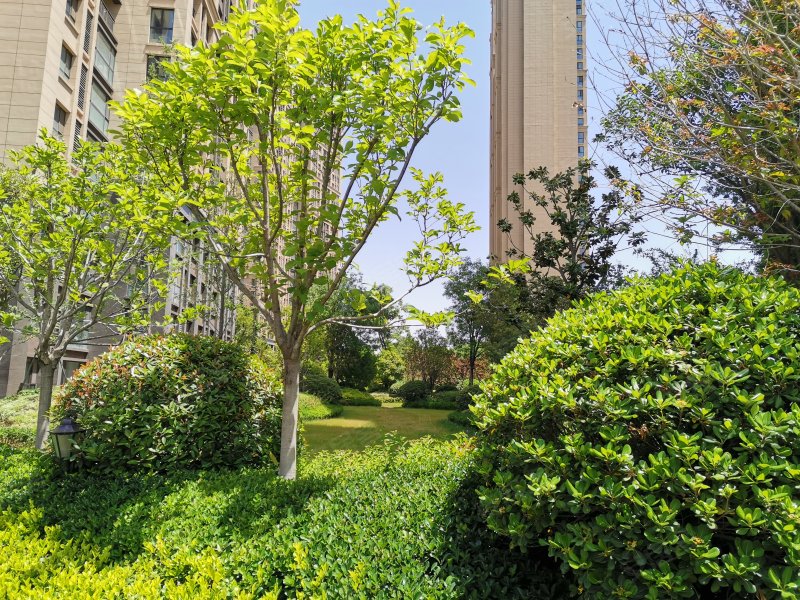绿都澜湾樟园