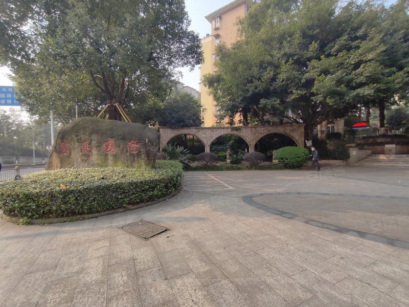 鹭岛国际