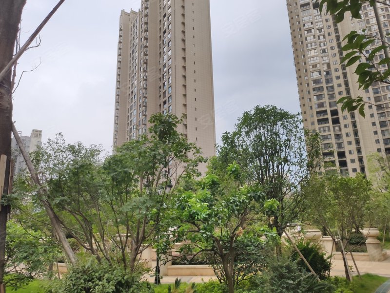新贵华城三期,南湖路-郴州新贵华城三期二手房,租房