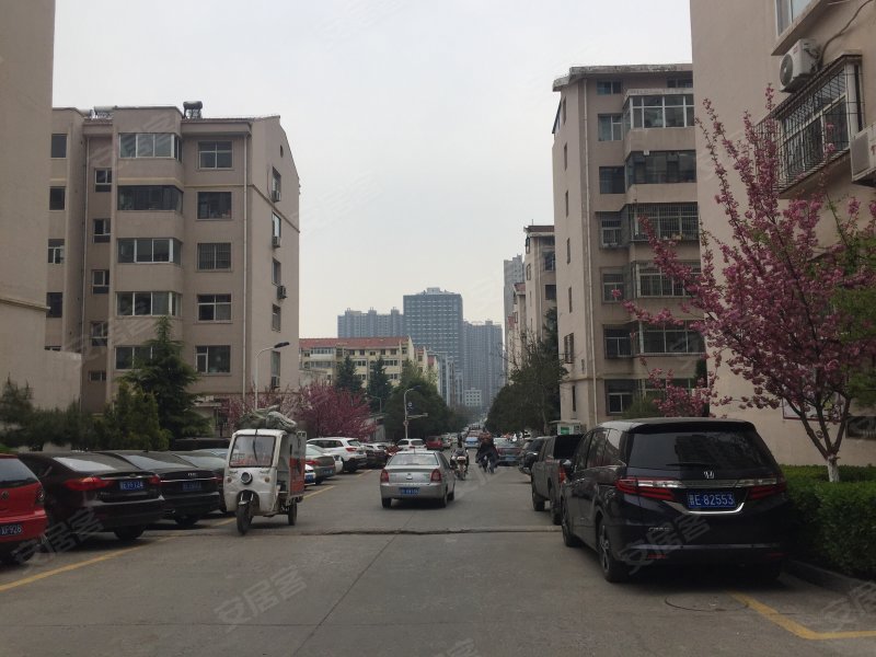 怡凤小区