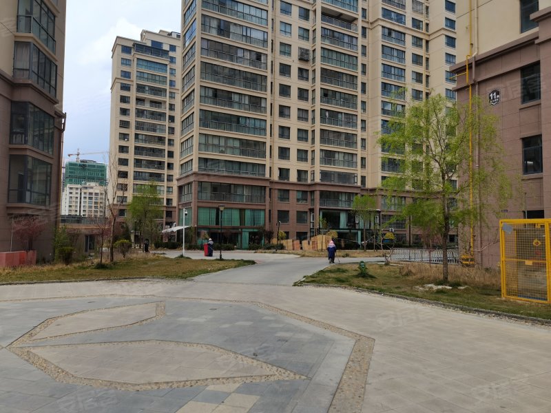 金马国际