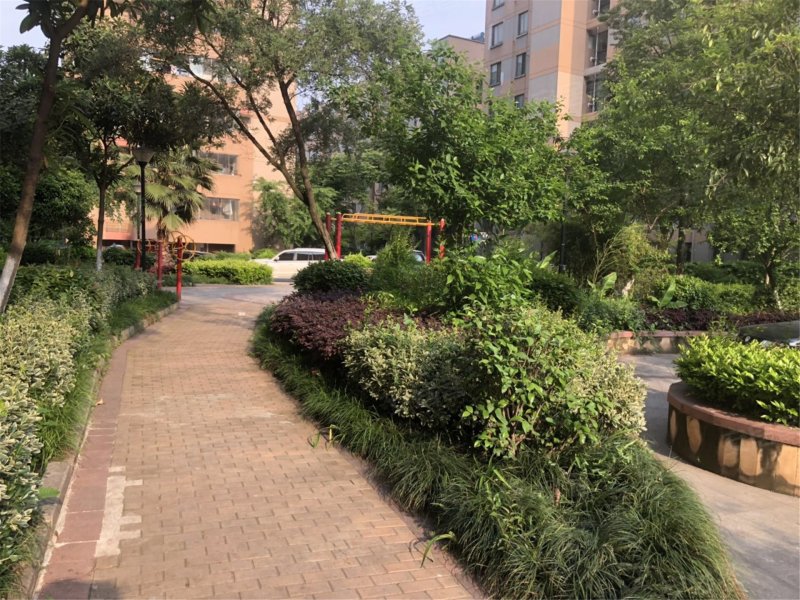 魅力风景湾