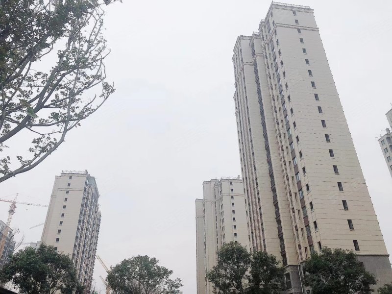 金帝惠贤府