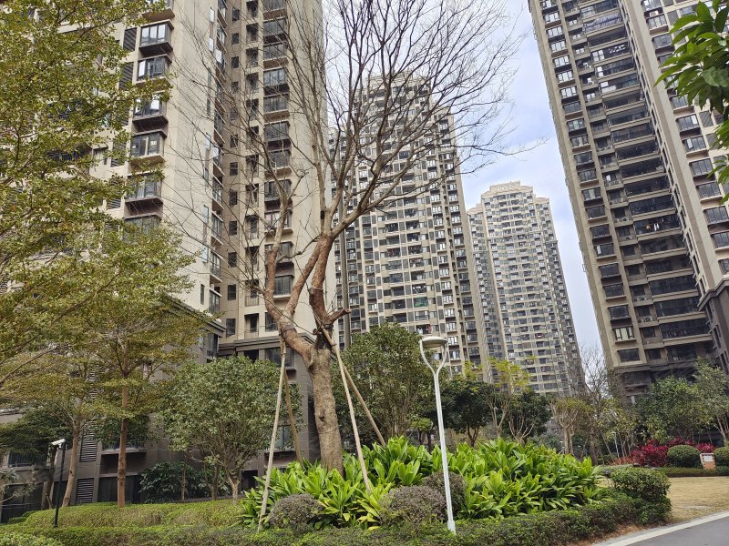嘉和城布洛可(二区,昆仑大道995号-南宁嘉和城布洛可(二区)二手房