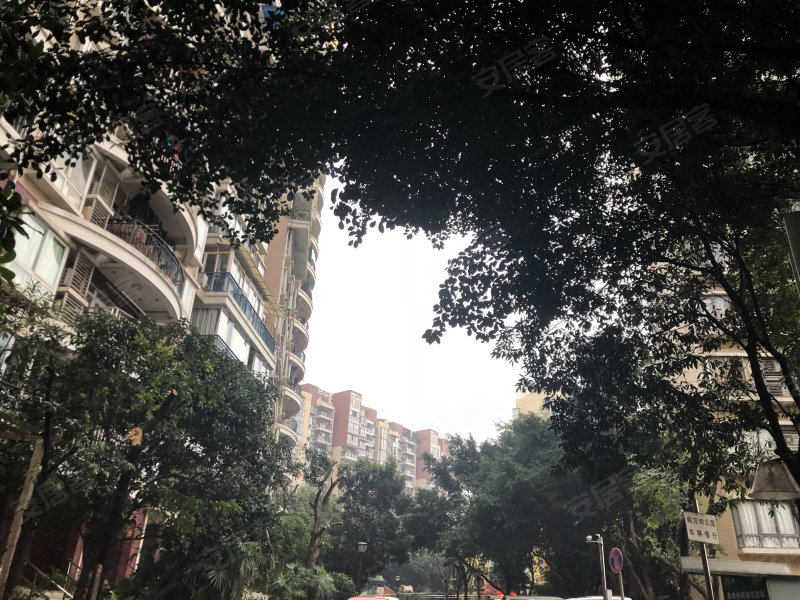 美堤雅城(b区)