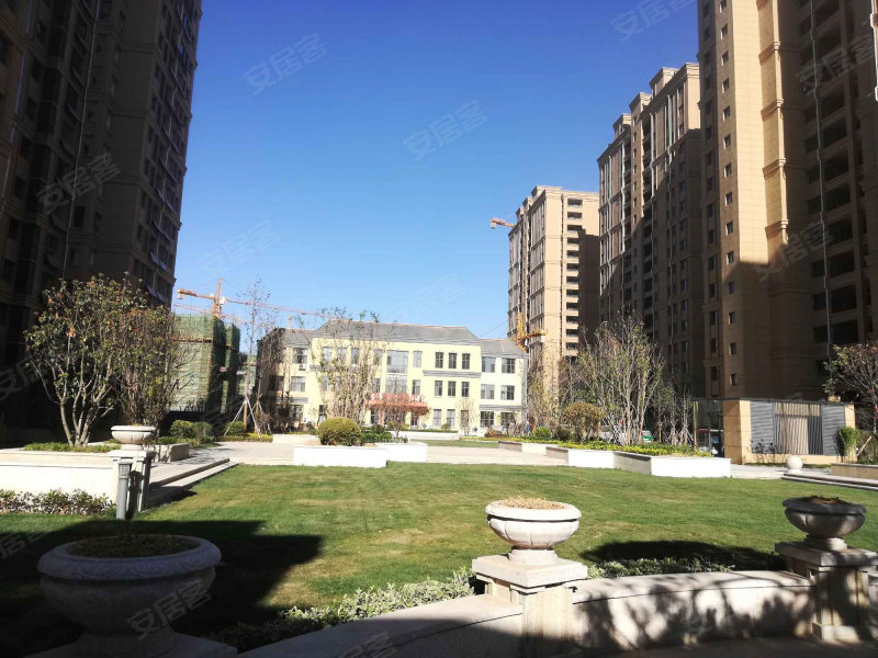 阅城国际名城,西安路,近黄河路-菏泽阅城国际名城二手