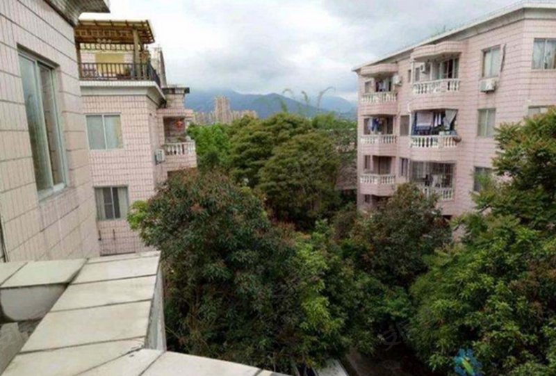 金桥花园玫瑰苑,国宾大道2号-福州金桥花园玫瑰苑二手