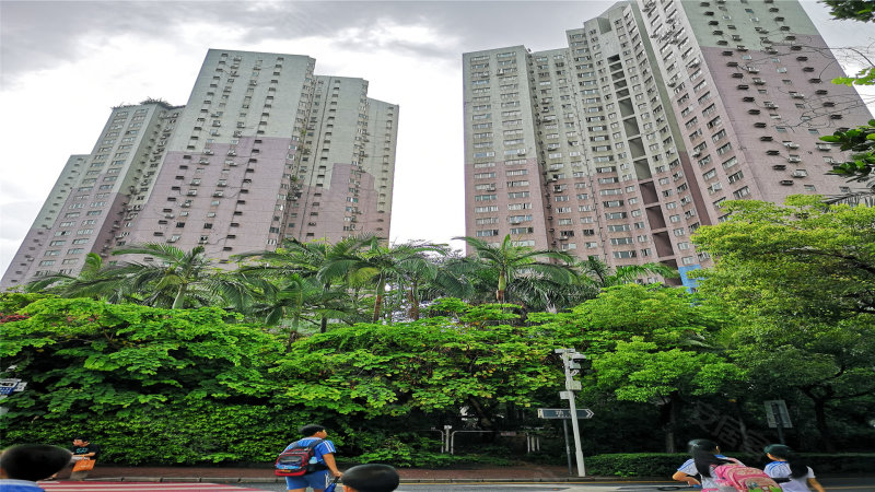 海景花园(南山),光侨街8号-深圳海景花园(南山)二手房