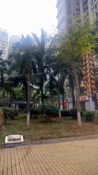 京华城,玉沙路21号-海口京华城二手房,租房,房价-海口