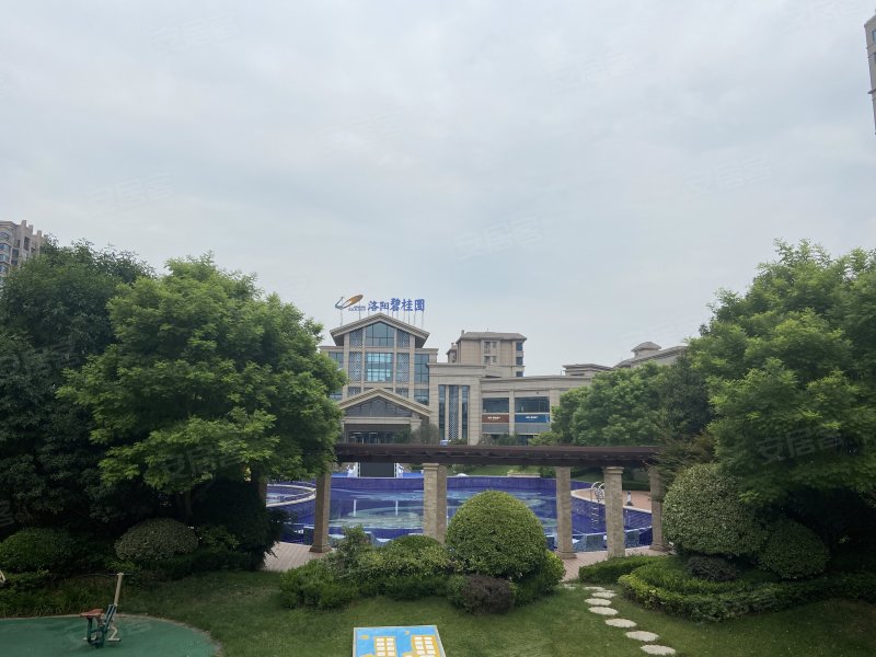碧桂园(洛龙区),桂园路,近洛偃快速通道-洛阳碧桂园(洛龙区)二手房