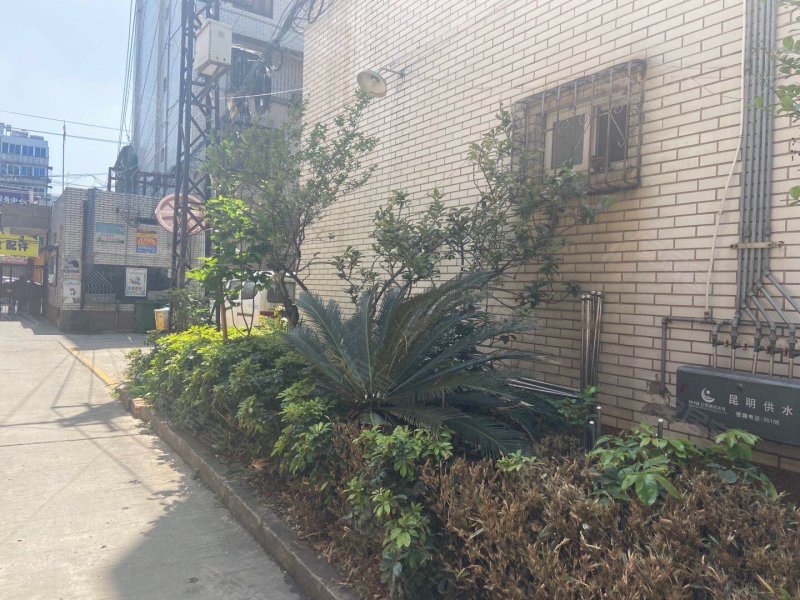 龙华花园,宝乐巷24号-昆明龙华花园二手房,租房,房价