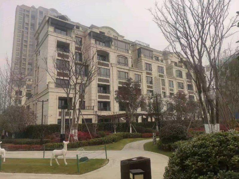 郑开橄榄城(五期),二大街-开封郑开橄榄城(五期)二手