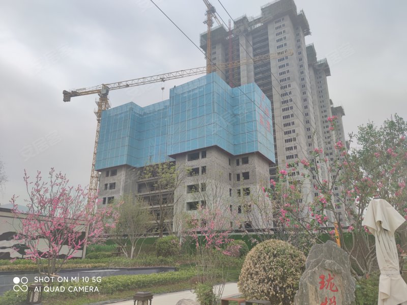 碧桂园珑悦兰庭,南川西路-西宁碧桂园珑悦兰庭二手房