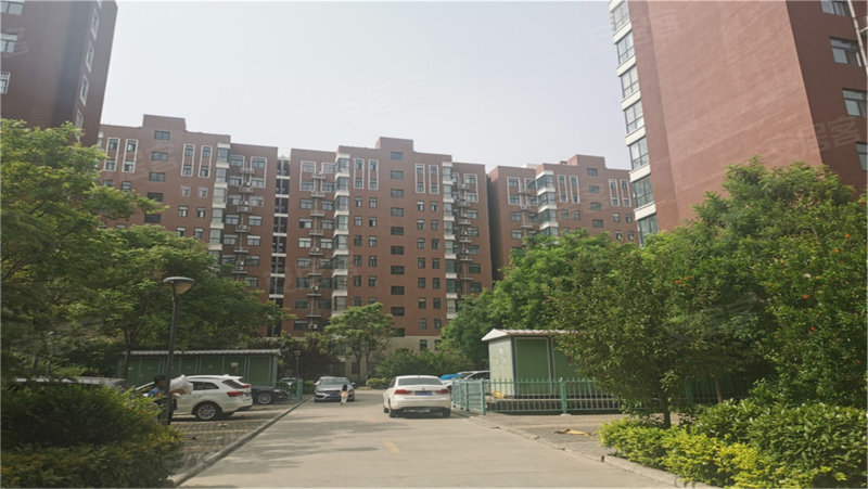 沁阳一中家属院,适居路,近文化路-焦作沁阳一中家属院二手房,租房