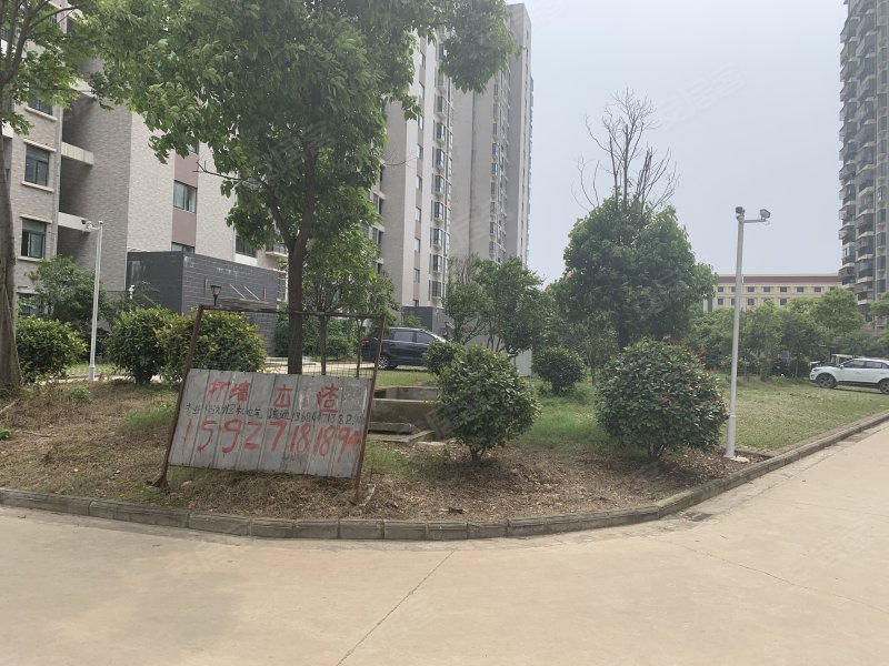 阳逻湾小区,汉口北大街-武汉阳逻湾小区二手房,租房,房价-武汉安居客