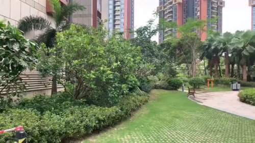 星河银湖谷