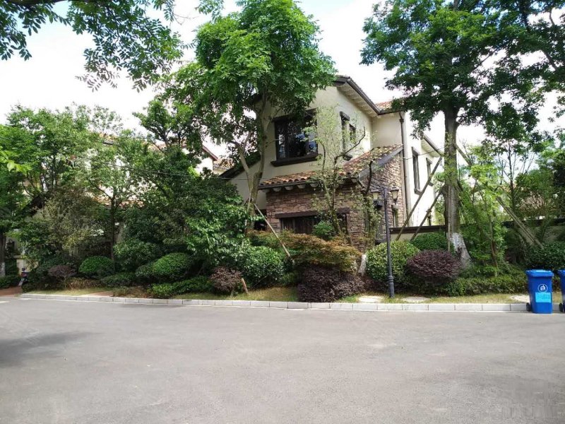 温泉山谷(4期别墅)
