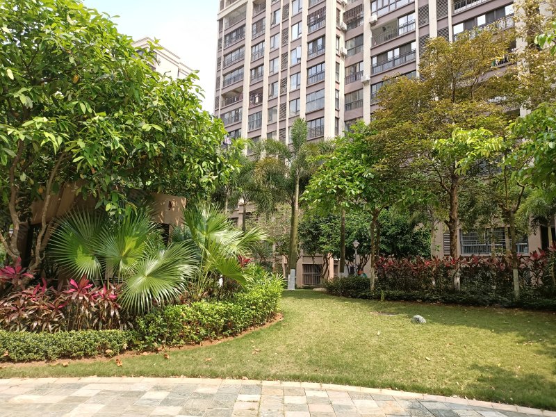 绿地城雅园,新大洲大道-海口绿地城雅园二手房,租房