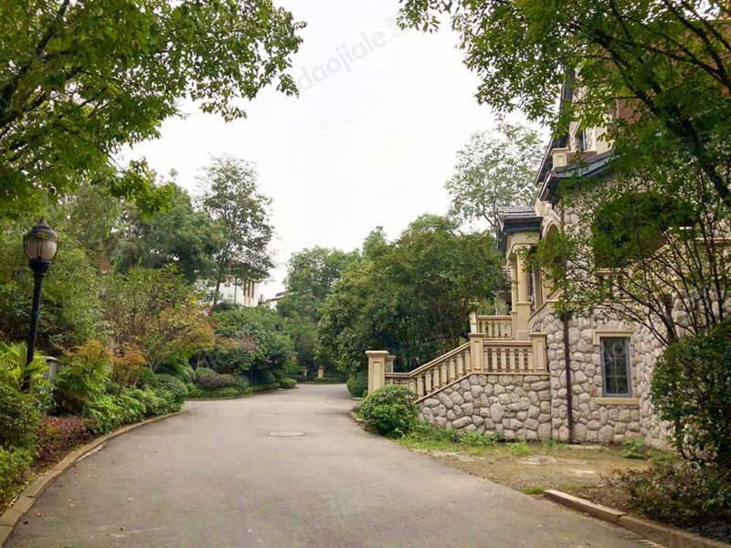 保利山庄(别墅),鸿恩二路138号-达州保利山庄(别墅)房