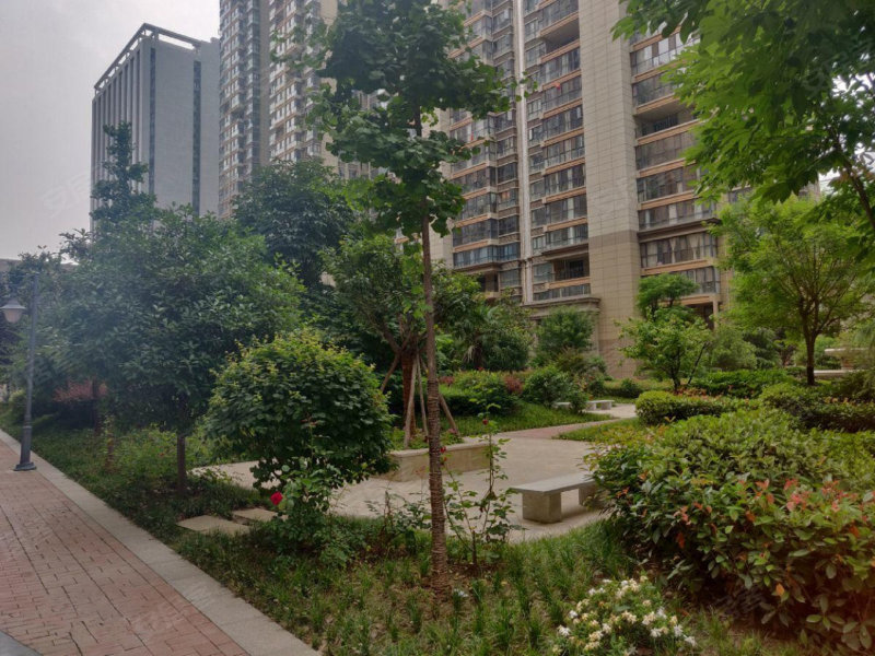 九龙新城,旭光路,近蟠龙路-宝鸡九龙新城二手房,租房