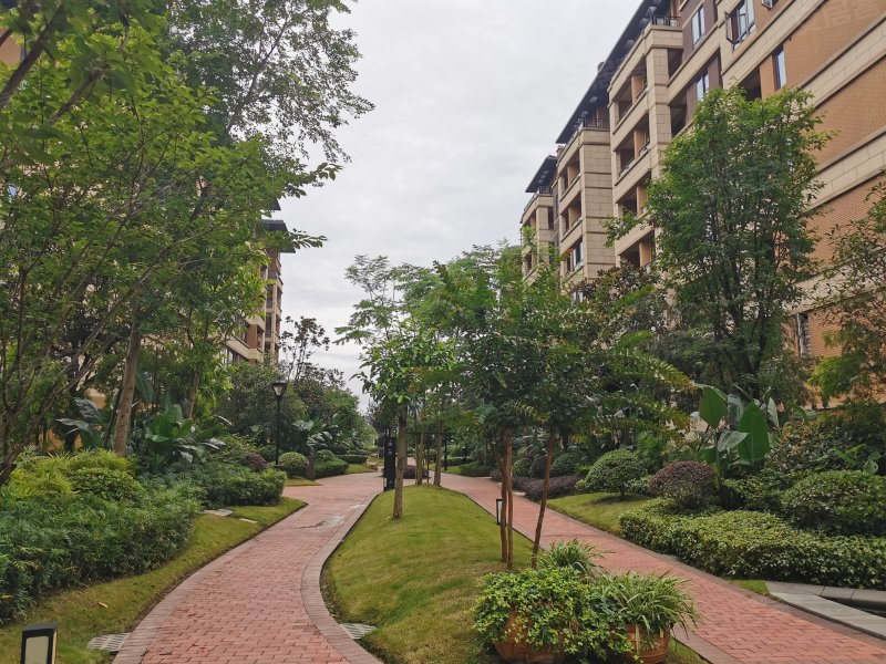 北新御龙湾三街区,嘉合大道555号-重庆北新御龙湾三房