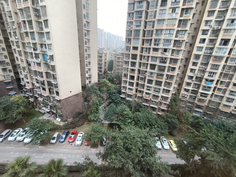 南湖郡,通达南街157号-自贡南湖郡二手房,租房,房价