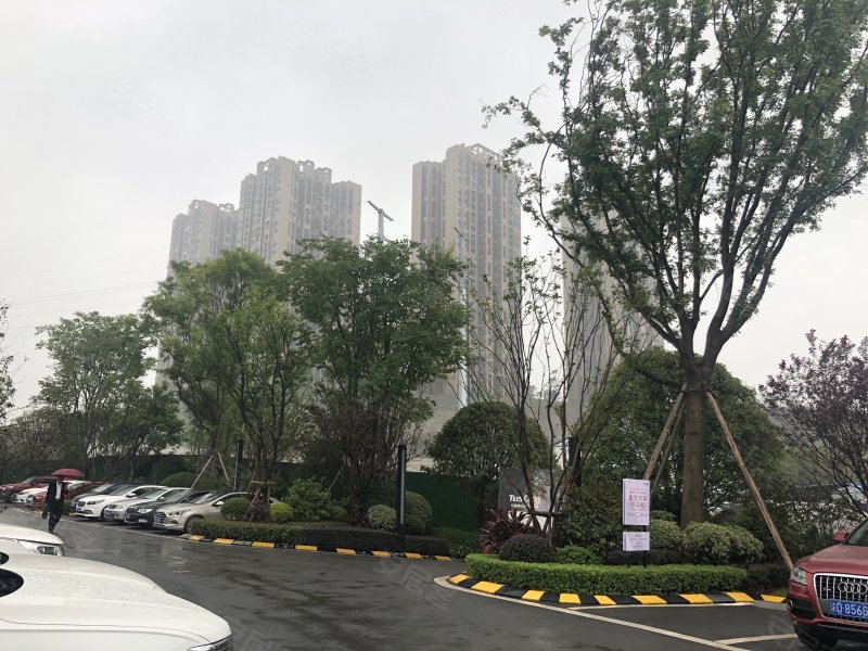 红鼎国际名苑,渝北三村30-32号-重庆红鼎国际名苑二手
