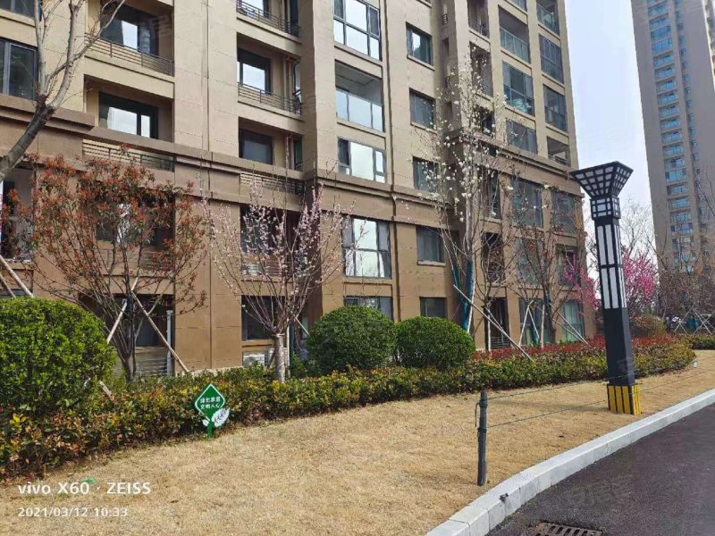 金色兰庭香堤