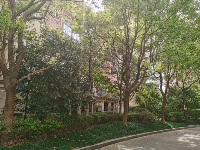 大华锦绣华城十六街区(别墅,成山路1728弄-上海大华锦绣华城十六街区