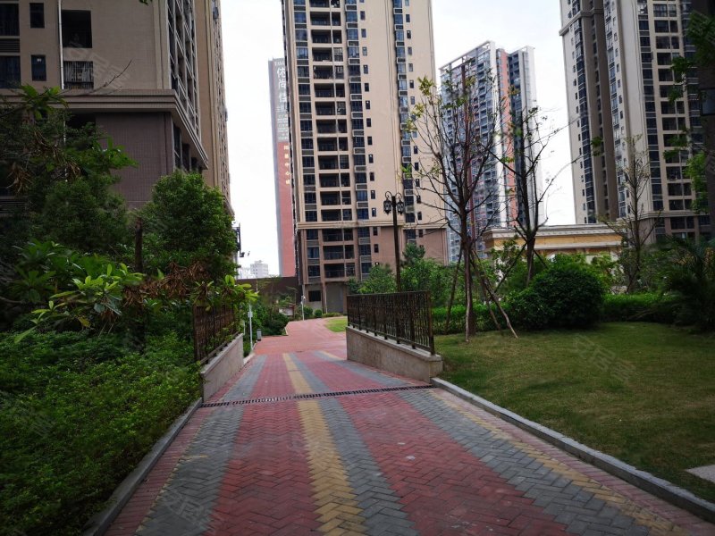 德洲中心城,中兴北路-惠州德洲中心城二手房,租房