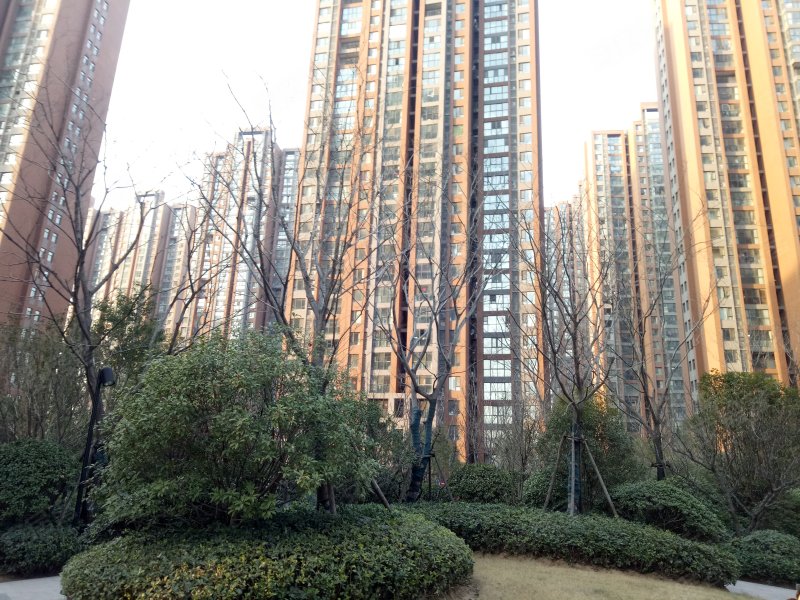 亚新橄榄城(二期)