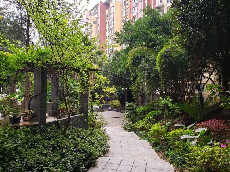 美堤雅城(b区)