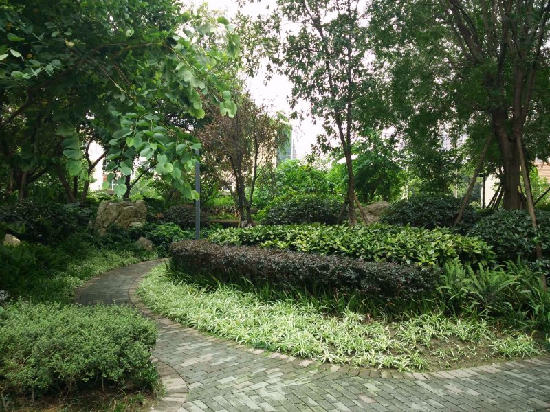 远大朗朗风景