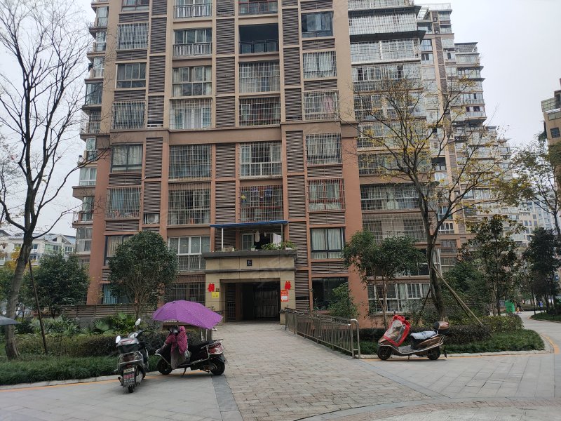 东湖彼岸