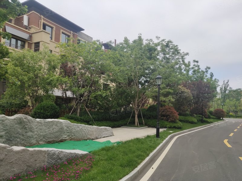 龙湖紫云台,滨海东路653号-烟台龙湖紫云台二手房
