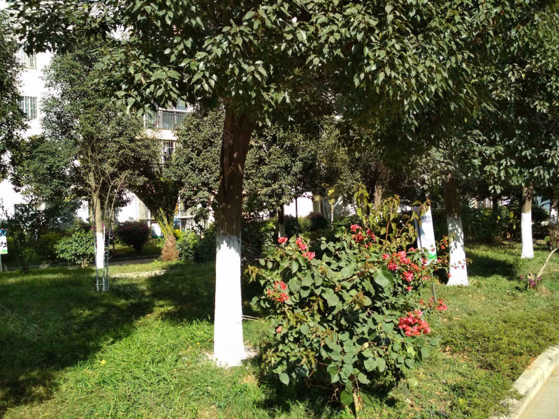 云峰家园小区,经景路,近东绕城高速-昆明云峰家园小区