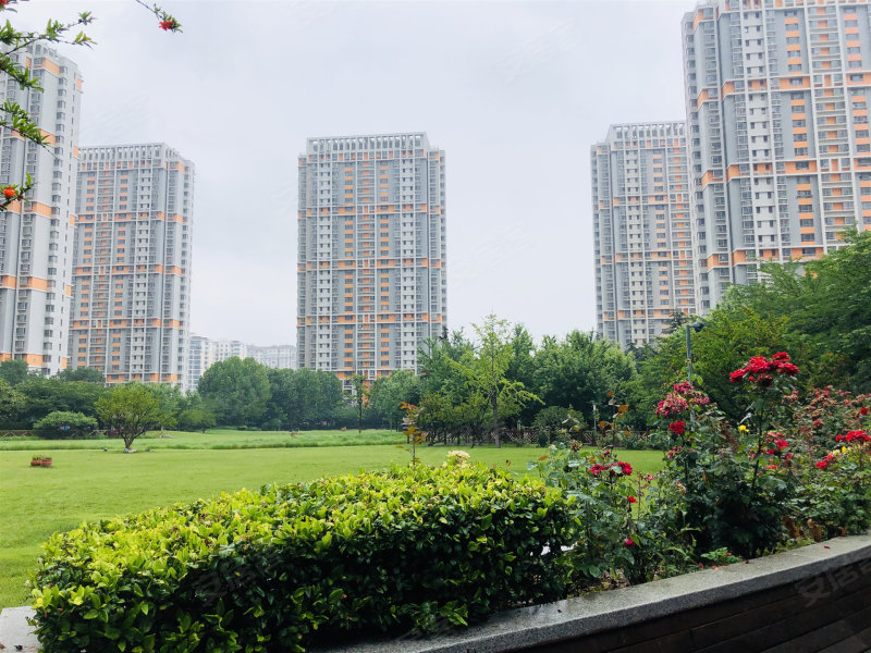 鲁信含章花园,合肥路851号-青岛鲁信含章花园二手房,租房,房价-青岛