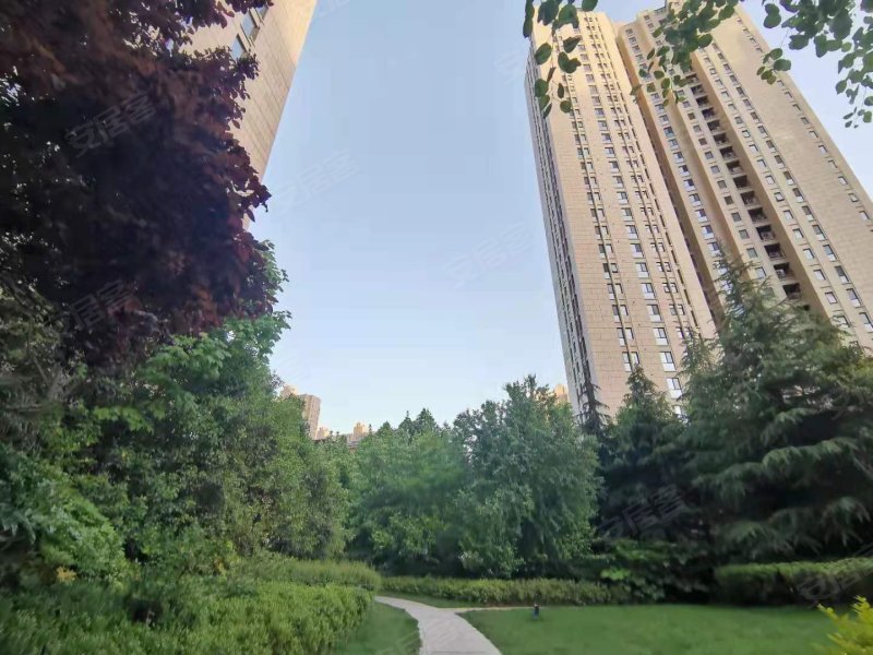 白桦林居,凤城九路,近明光路-西安白桦林居二手房,租房,房价-西安安居