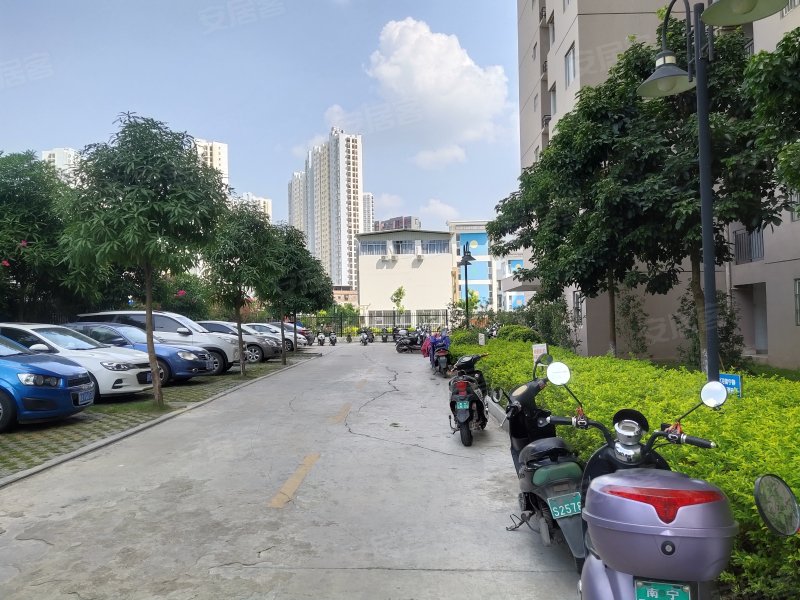 鑫利华家园,玉蟾路5号-南宁鑫利华家园二手房,租房