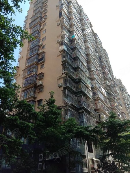 龙华花园(二区,文山北路8号-福州龙华花园(二区)二手房,租房,房价