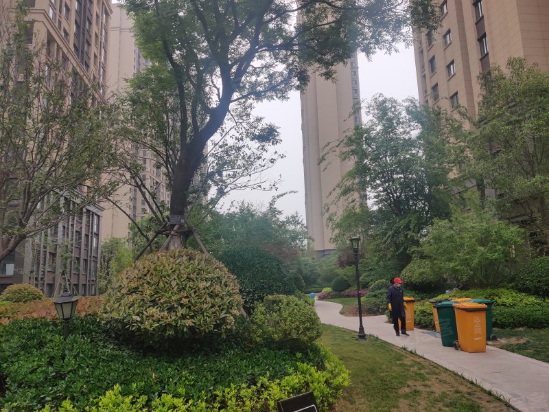 绿都澜湾樟园