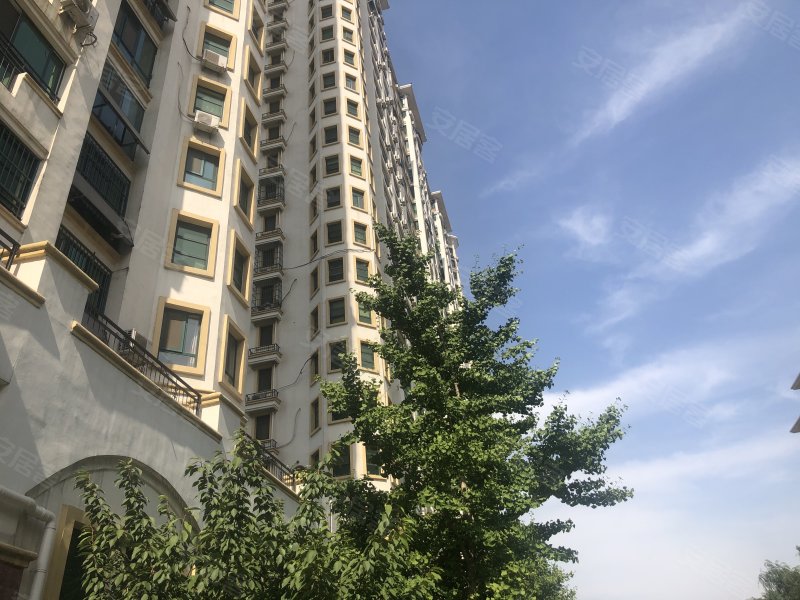 置城8号公馆,金宇路-济宁置城8号公馆二手房,租房